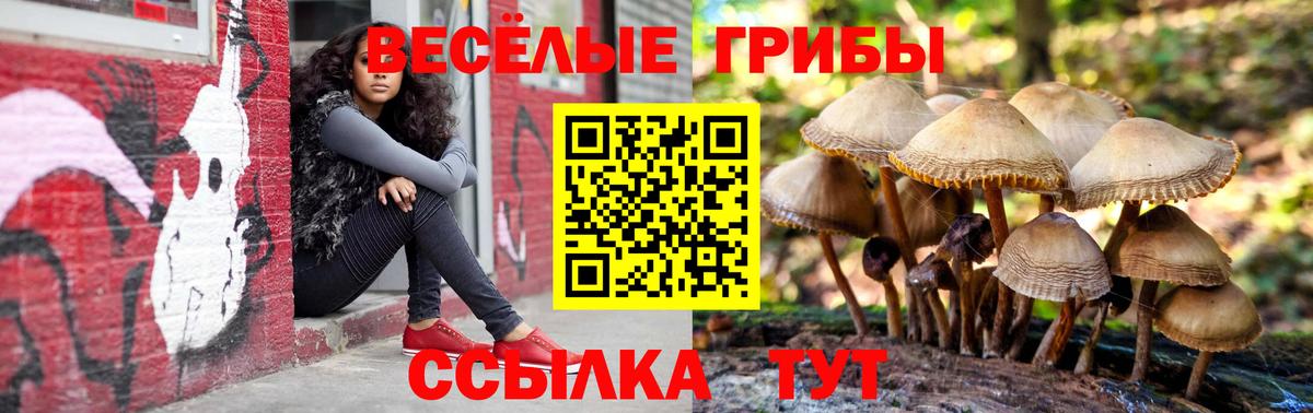 Псилоцибиновые грибы мицелий Сыктывкар